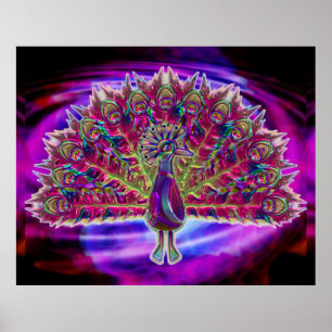 Peacock Glass 2A & 2B Options Poster