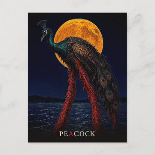 Peacock Glowing Legs gothic Surreal Postcard