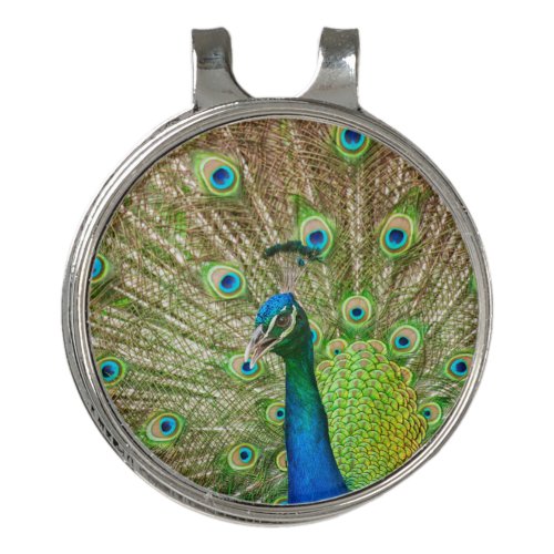 Peacock Golf Hat Clip