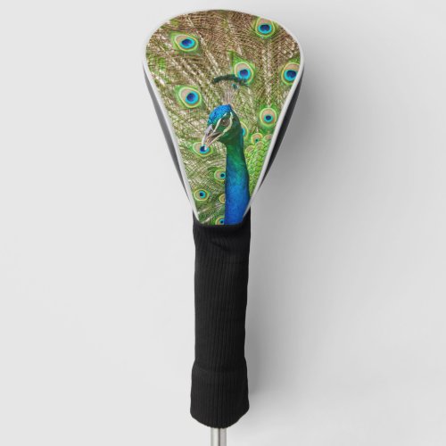 Peacock Golf Head Cover