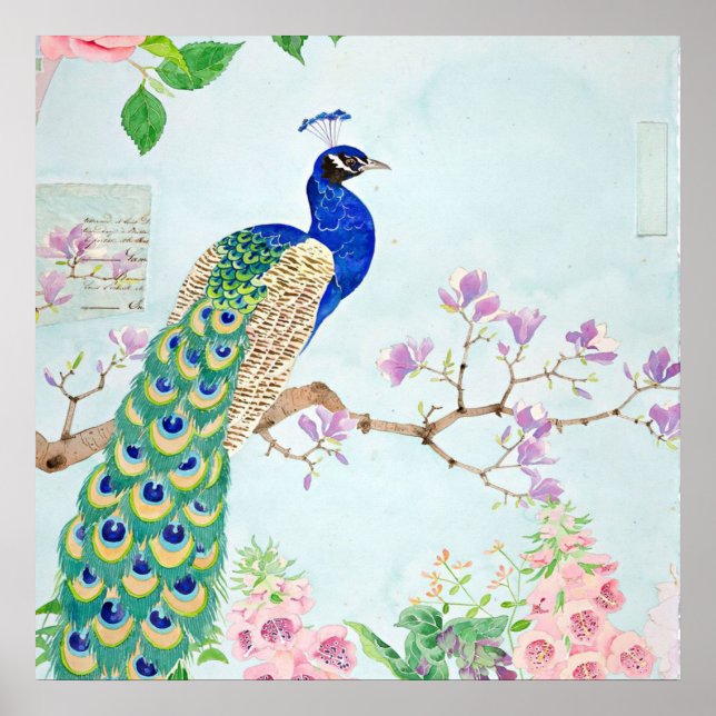 Peacock Graphic | Blue And Yellow Peacocks Poster (Front)