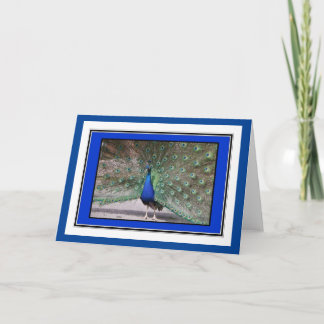 Peacock Greetings Card
