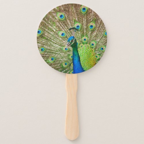 Peacock Hand Fan