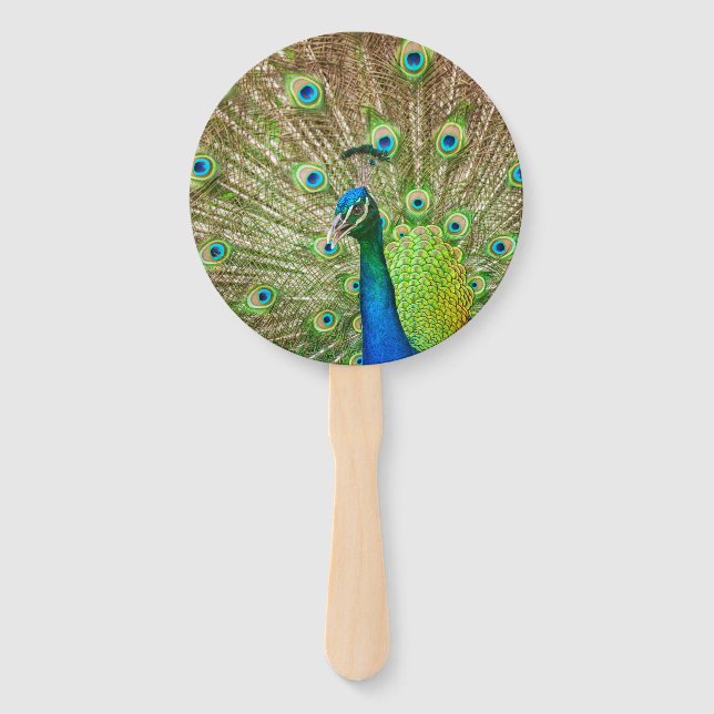Peacock Hand Fan (Front)