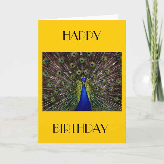 Peacock Happy Birthday card. Card (Front)
