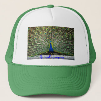 Peacock Hat life is full of surprises