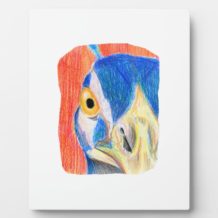 Peacock head colored pencil drawing sketch plaques 