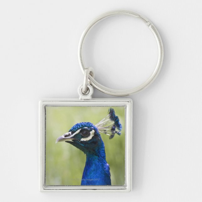 Peacock head keychain (Front)