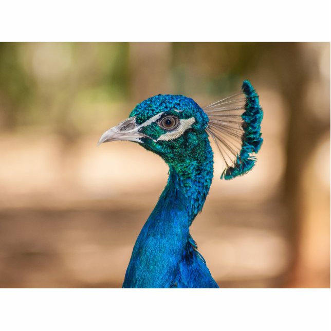 Peacock Head Statuette (Front)