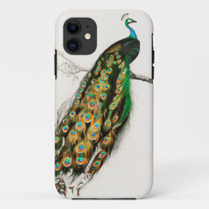 Peacock Illustration Vintage Art Print iPhone 11 Case