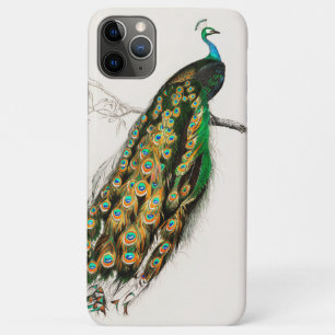 Peacock Illustration Vintage Art Print iPhone 11 Pro Max Case