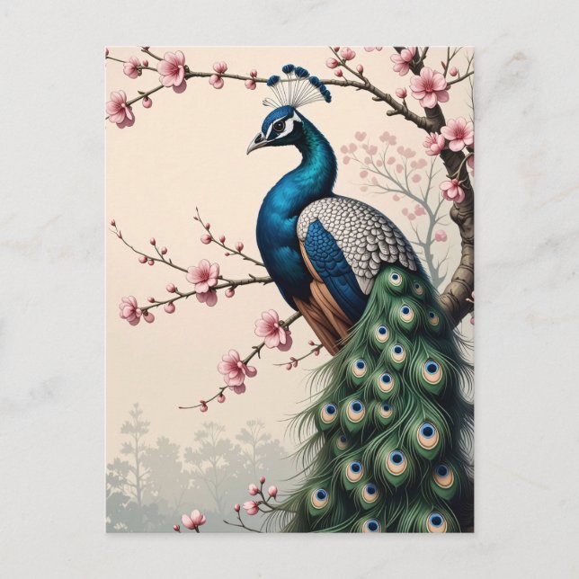 Peacock in a Cherry Blossom Tree Postcard (Front)