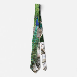 Peacock In a Garden Photo Tie