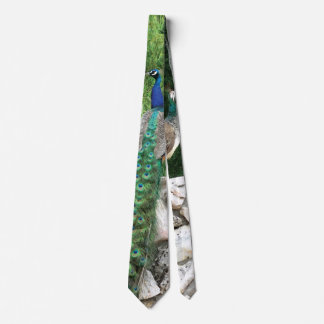 Peacock In a Garden Photo Tie