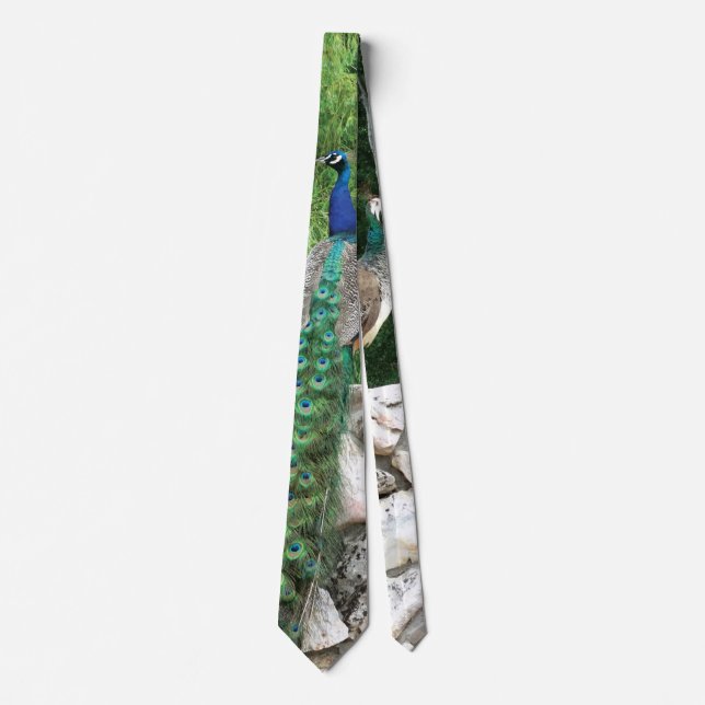 Peacock In a Garden Photo Tie (Front)
