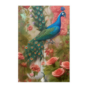 Peacock in Apricot Rose Garden Acrylic Print