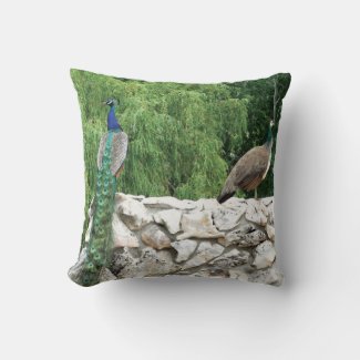 Peacock in Garden Photography Throw Cushion
