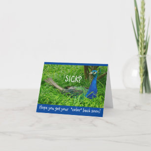 PEACOCK IN GRASS/GET WELL/HOPE YOU GET YOUR COLOR CARD