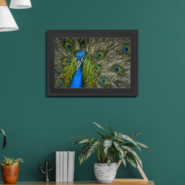 Peacock in Kauai Framed Art (Living Room 2)