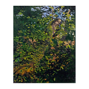 Peacock in the Woods - High-Resolution Acrylic Print