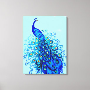 Peacock in Turquoise and Cobalt Blue Canvas Print