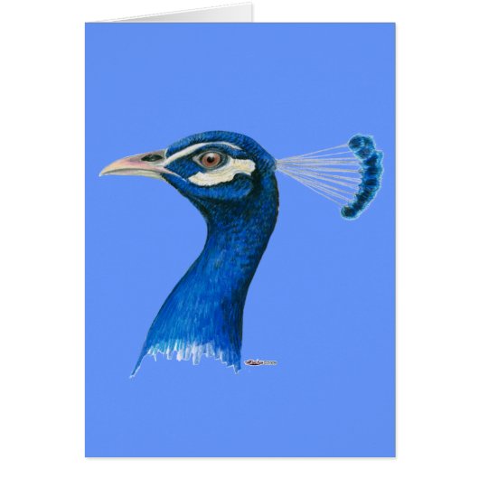 Peacock: Indian Blue Cards (Front)