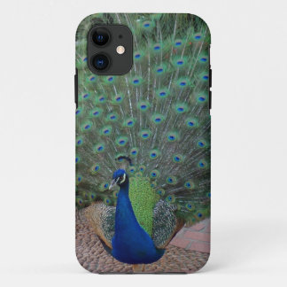 Peacock iPhone 5 Case