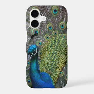 Peacock iPhone 17 Case