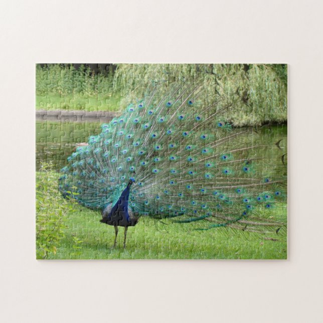 Peacock Jigsaw Jigsaw Puzzle (Horizontal)