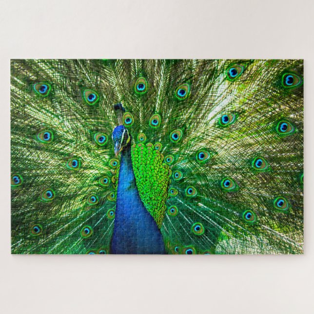 Peacock Jigsaw Puzzle (Horizontal)
