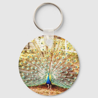 Peacock Key Chain