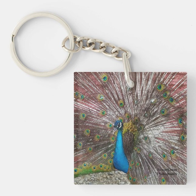Peacock Keychain (Front)