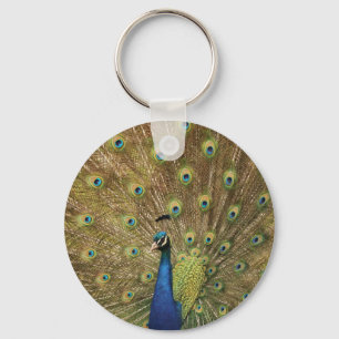 peacock keychain