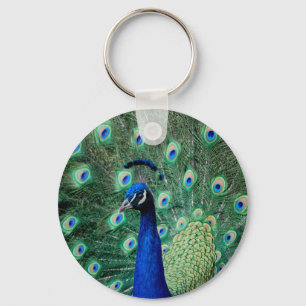 Peacock, keychain
