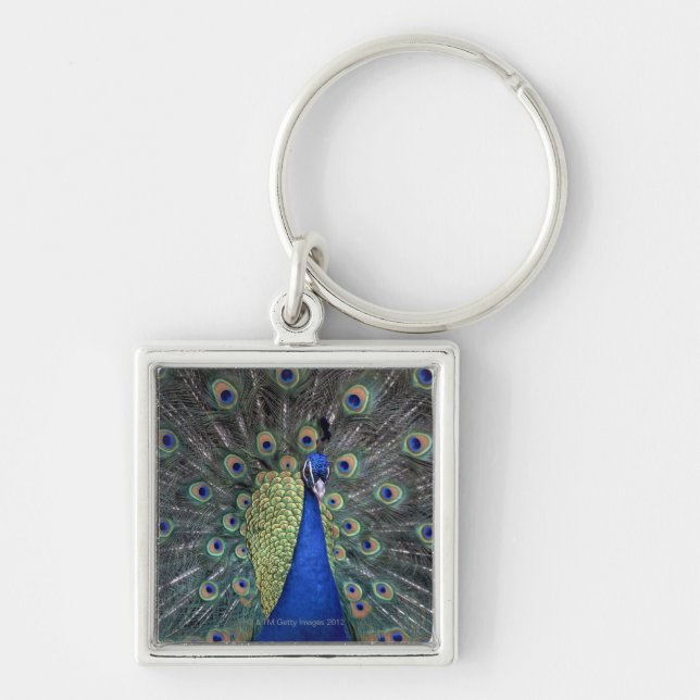 Peacock Keychain (Front)