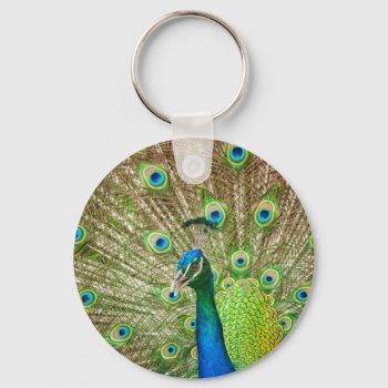 Peacock Keychain by PixLifeBirds at Zazzle