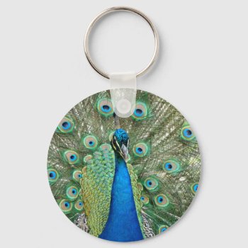Peacock Keychain by stopnbuy at Zazzle