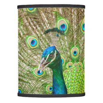 Peacock Lamp Shade by PixLifeBirds at Zazzle