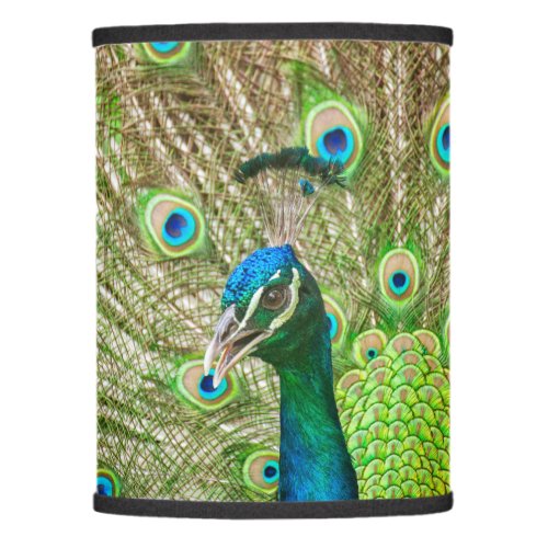 Peacock Lamp Shade