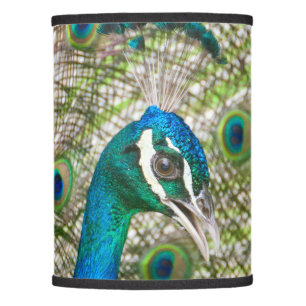 Peacock Lamp Shade