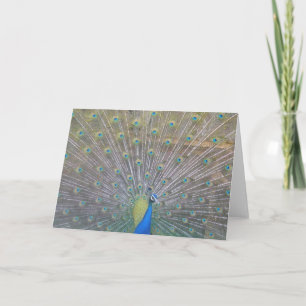 Peacock Letterpress Thank You Card
