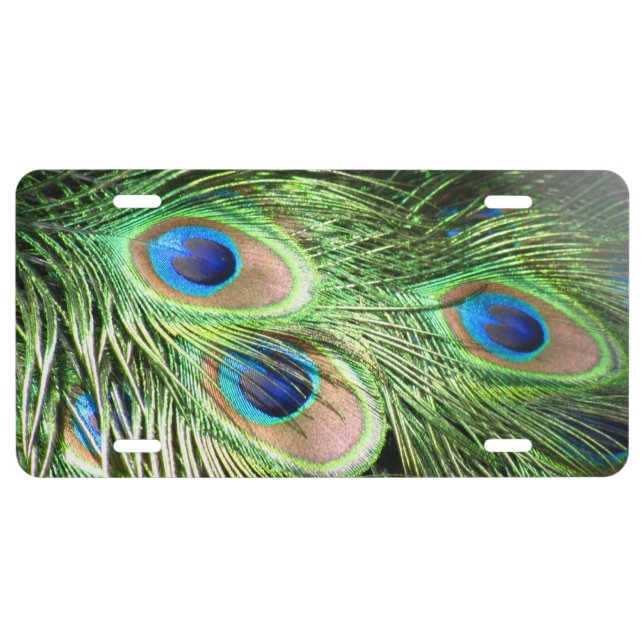 Peacock Licence Plate Cover (Front)