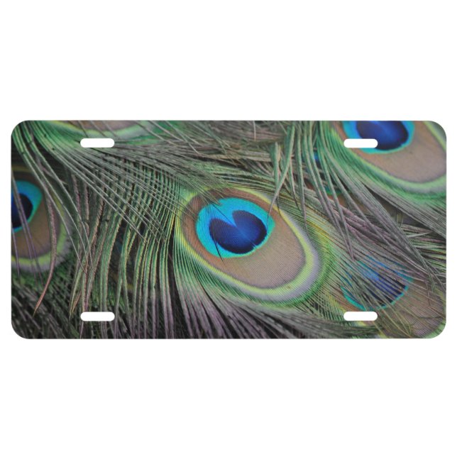 Peacock License Plate (Front)