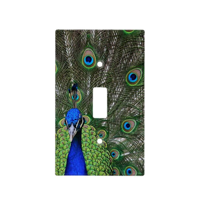 Peacock Light Switch Cover (Front)