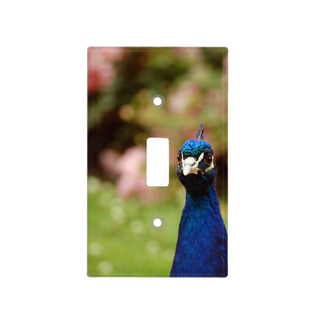 Peacock Light Switch Cover (Front)