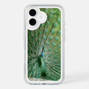 PEACOCK LOOKIN iPhone 16 CASE