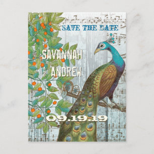 Peacock Love Bird Sitting in a Tree Save the Date Announcement Postcard