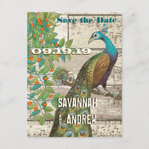 Peacock Love Bird Sitting in a Tree Save the Date Announcement Postcard
