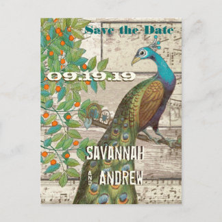 Peacock Love Bird Sitting in a Tree Save the Date Announcement Postcard