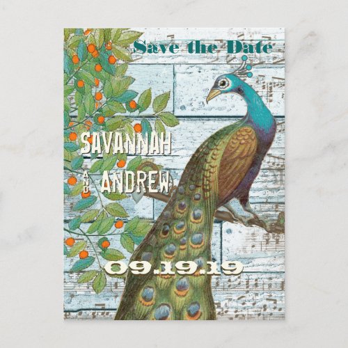 Peacock Love Bird Sitting in a Tree Save the Date Announcement Postcard